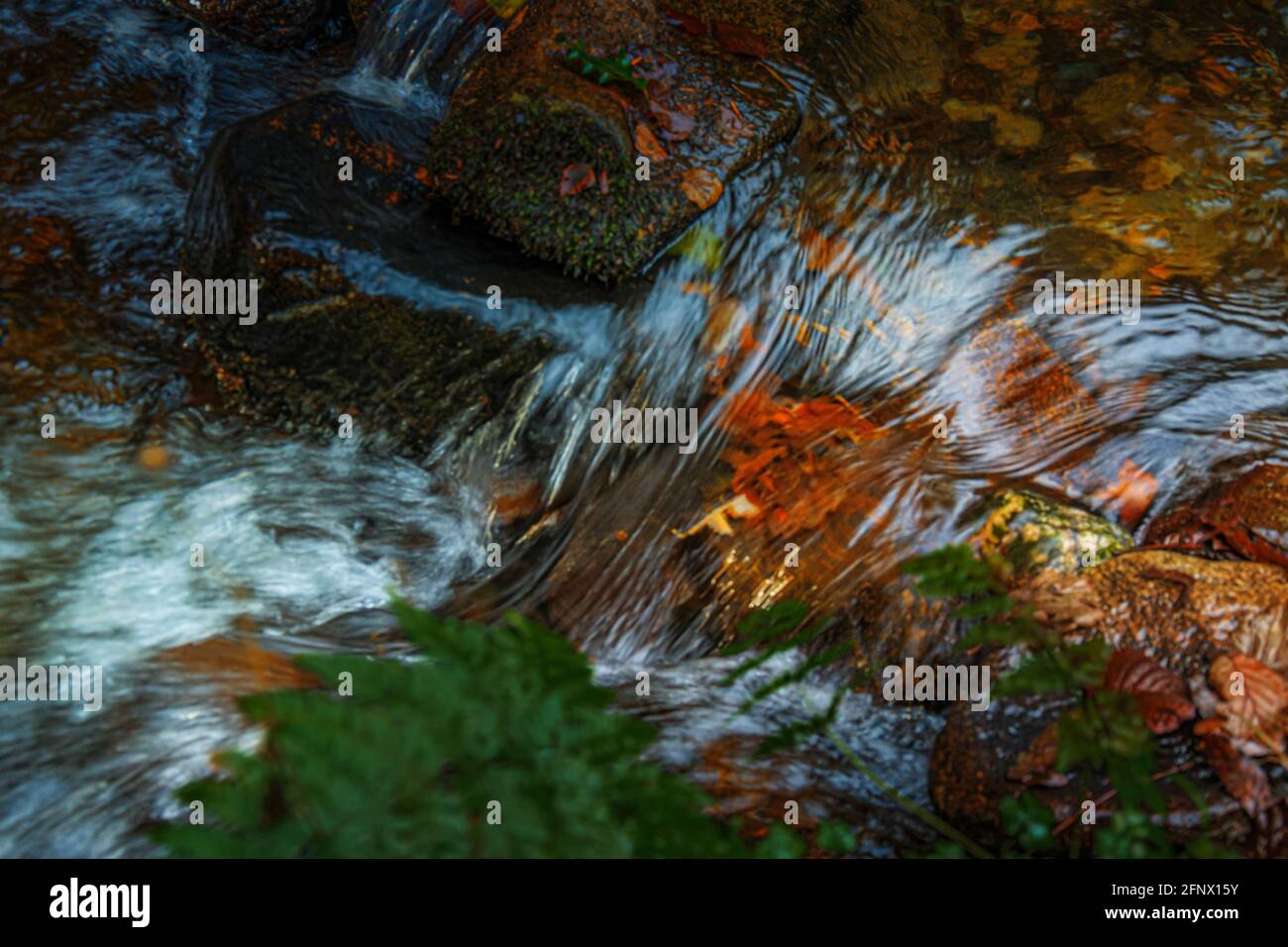 Close up of bubbling rapids with small waterfalls of Clonaugh River with clear mountain water showing brown leaves on a bottom flowing downstream. Stock Photo