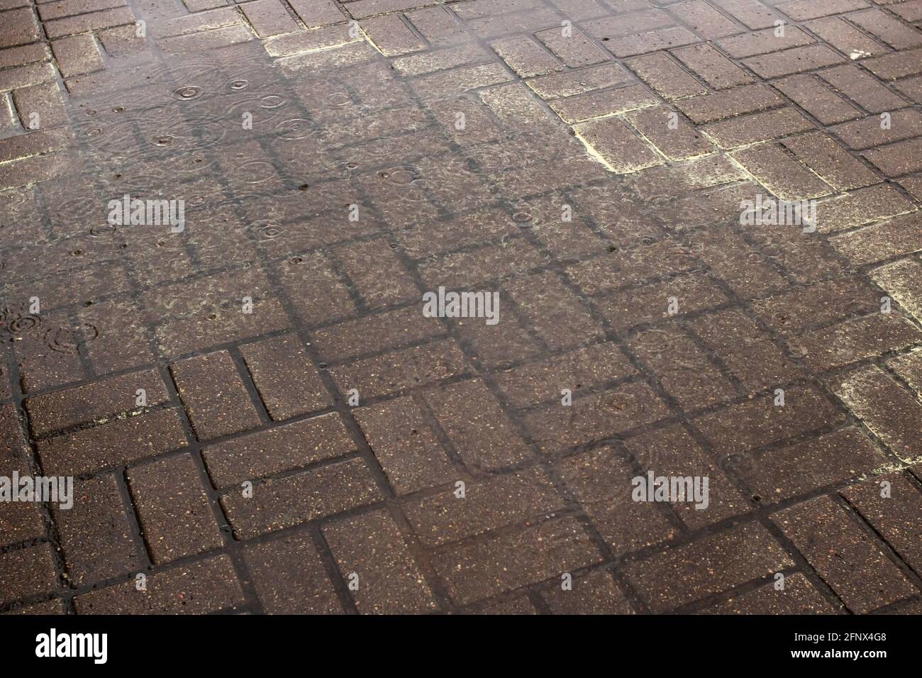 Wet sidewalk tiles hi-res stock photography and images - Alamy