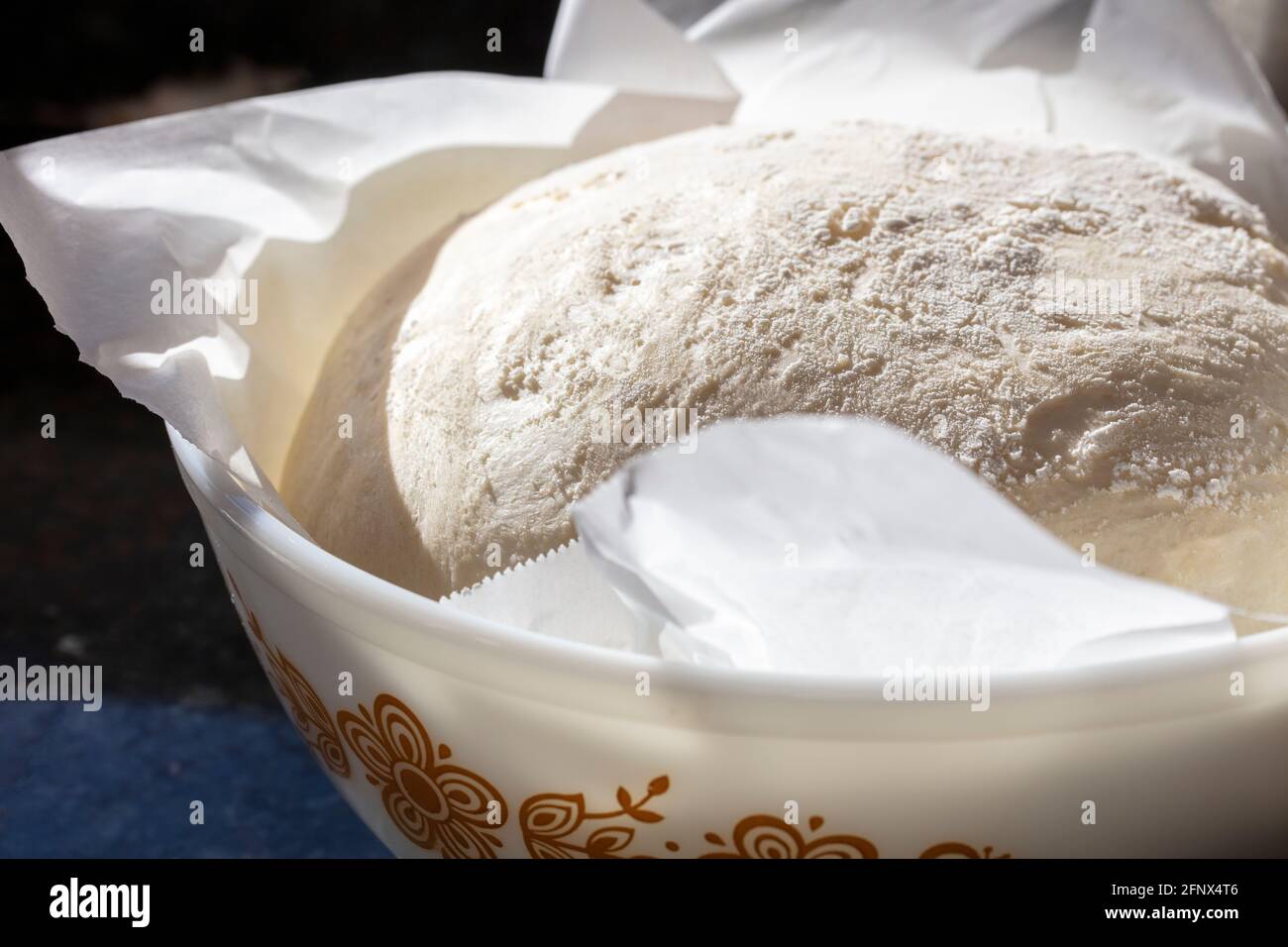 https://c8.alamy.com/comp/2FNX4T6/sourdough-dough-fermenting-in-a-bowl-to-make-a-loaf-of-bread-2FNX4T6.jpg