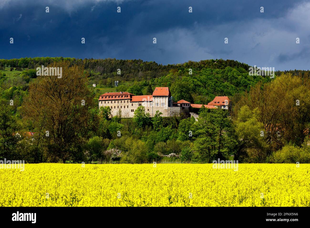 The Creuzburg castle in Thuringia Stock Photo - Alamy