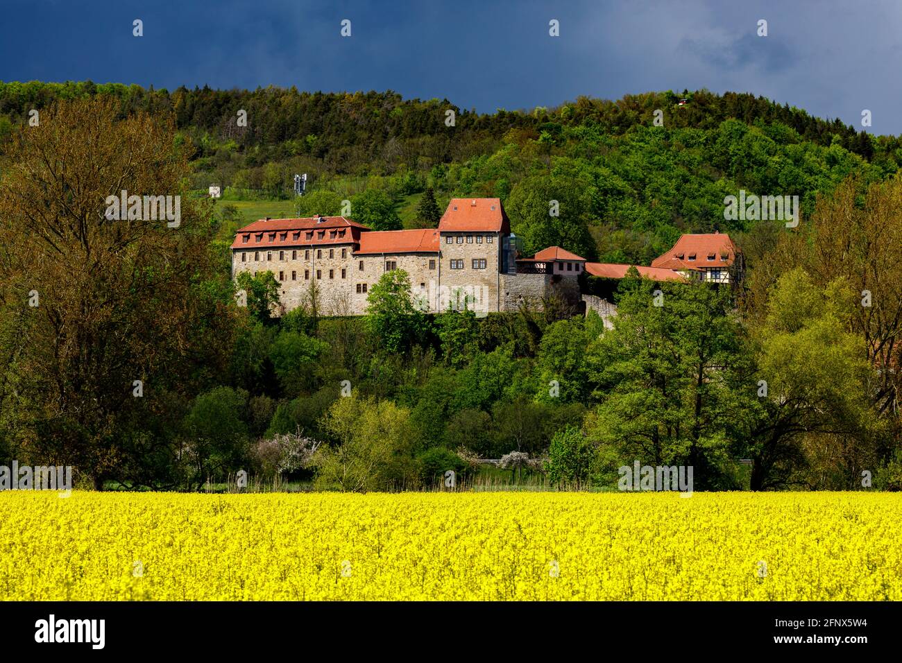 The Creuzburg castle in Thuringia Stock Photo - Alamy