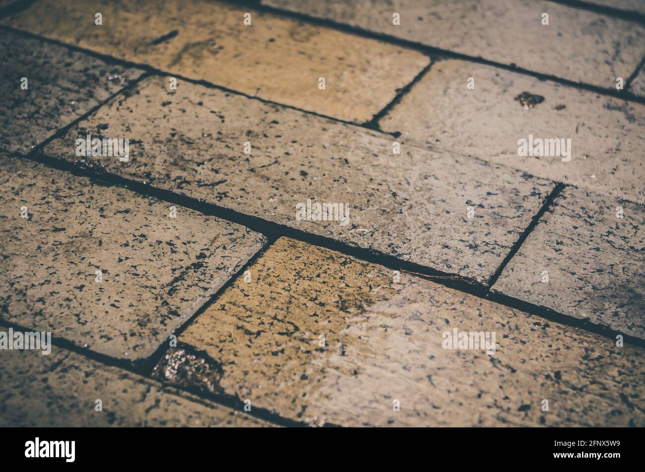 Wet paving slabs shine after rain, close up Stock Photo Alamy