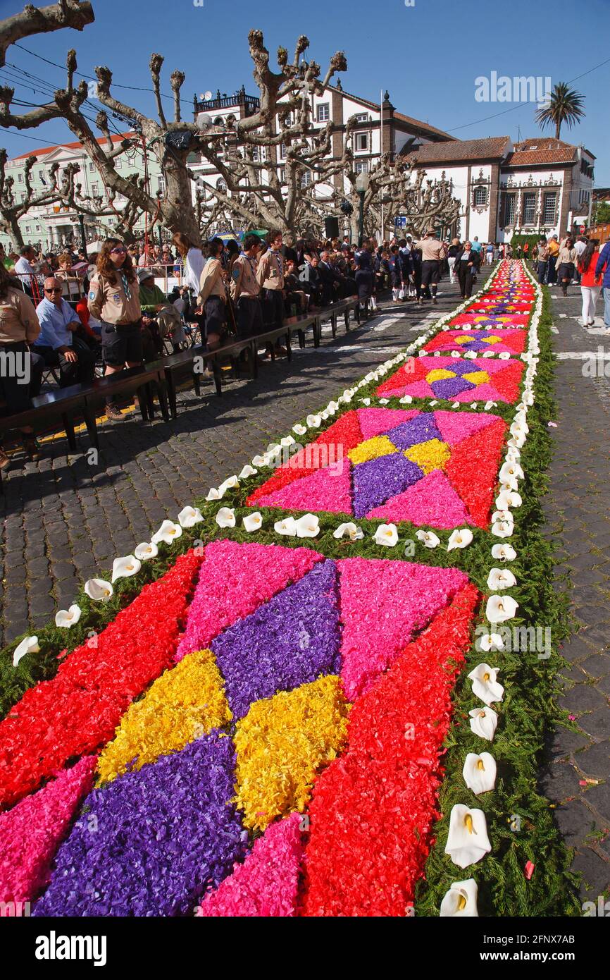Flower carpets made from artificially colored wood shavings. Ponta Delgada, Sao Miguel island, Azores islands, Portugal Stock Photo