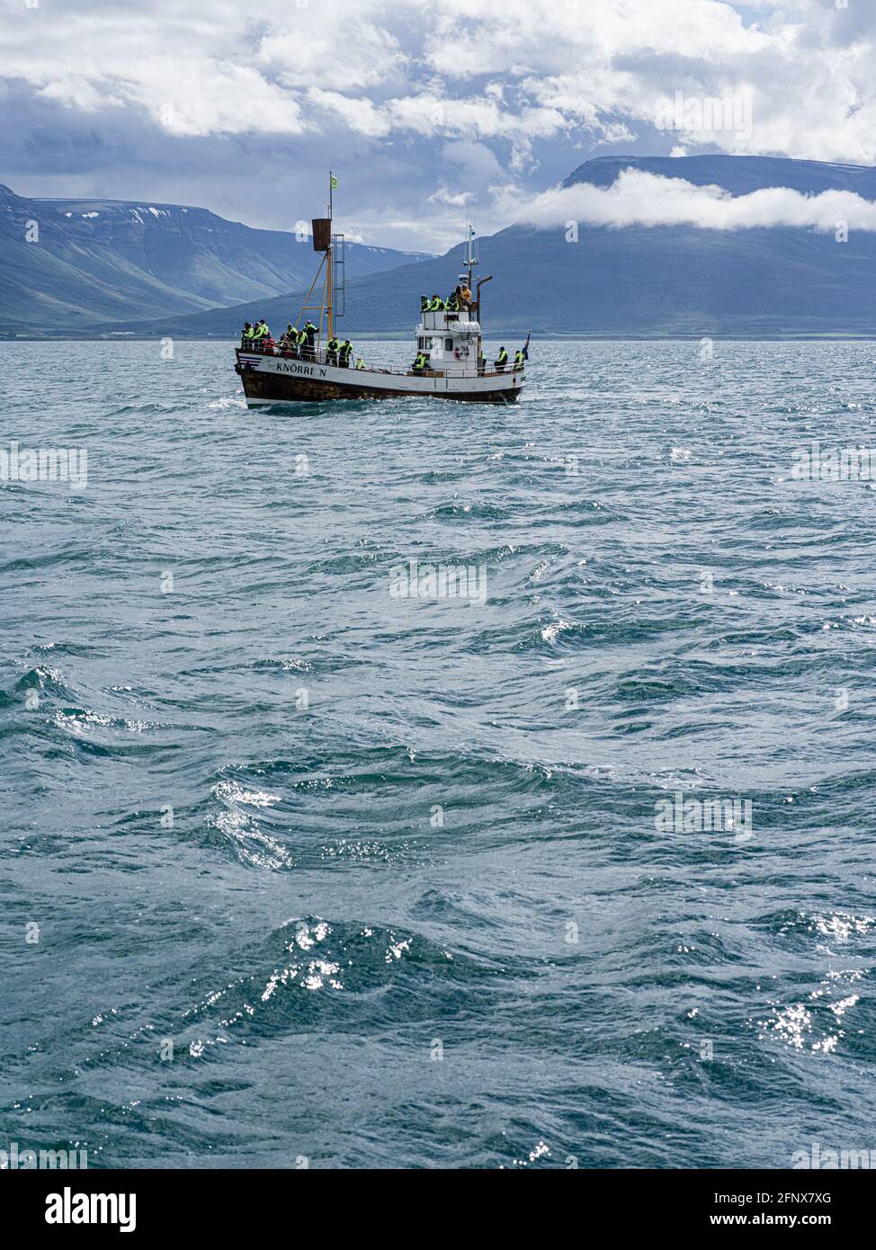 Minke Whale Iceland High Resolution Stock Photography and Images - Alamy