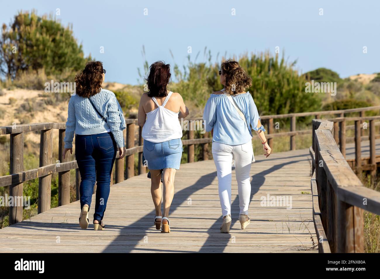 Three women walking in a park Stock Photo Alamy