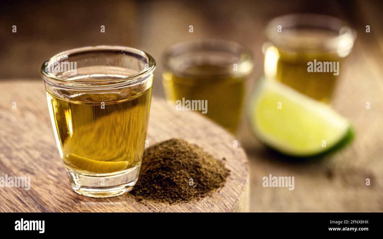 Mezcal with pepper salt and agave larva, exotic Mexican drink, rare