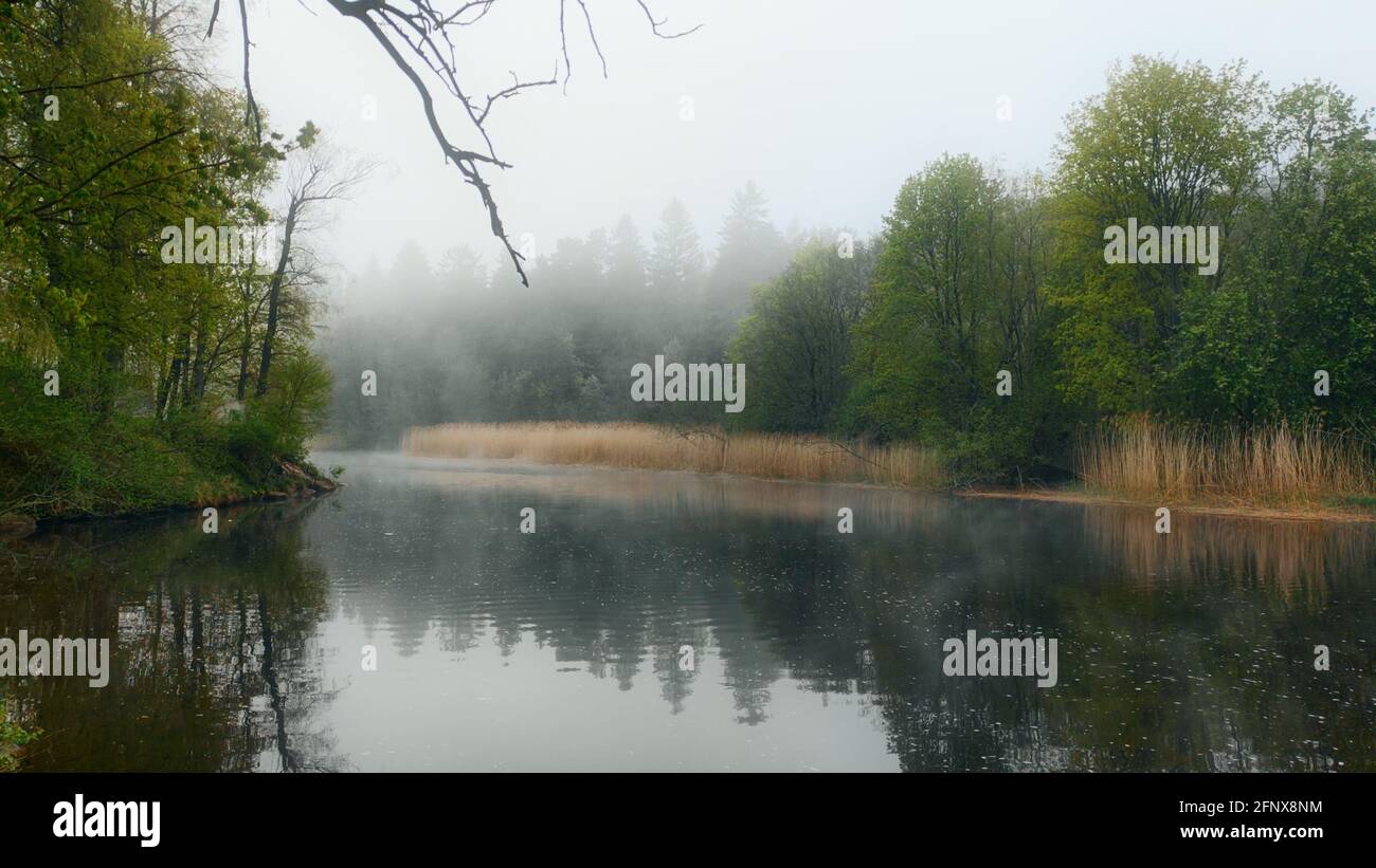 Beautiful scenic foggy river in the morning Stock Photo - Alamy
