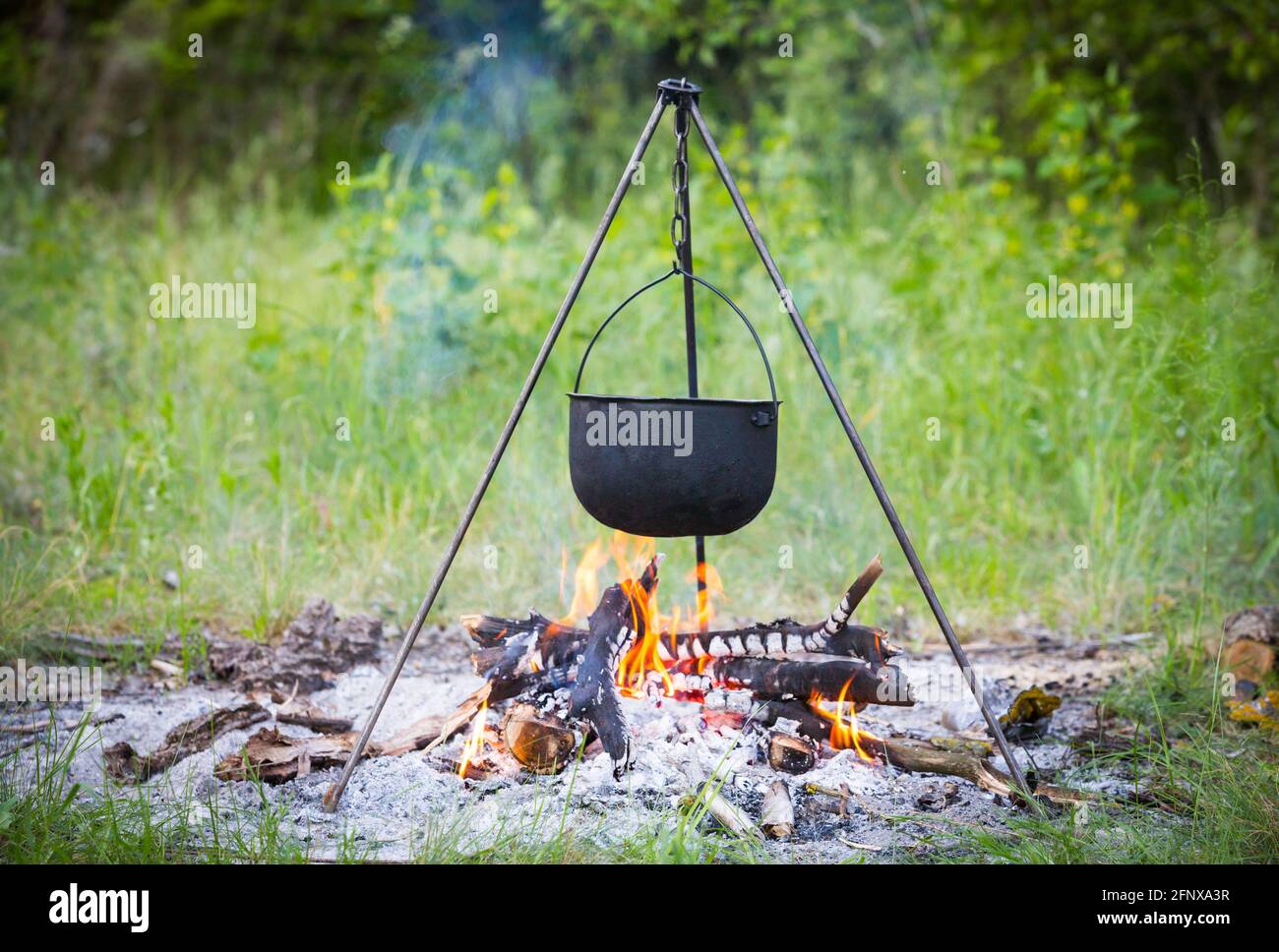 https://c8.alamy.com/comp/2FNXA3R/tourist-kettle-over-camp-fire-in-spring-forest-2FNXA3R.jpg