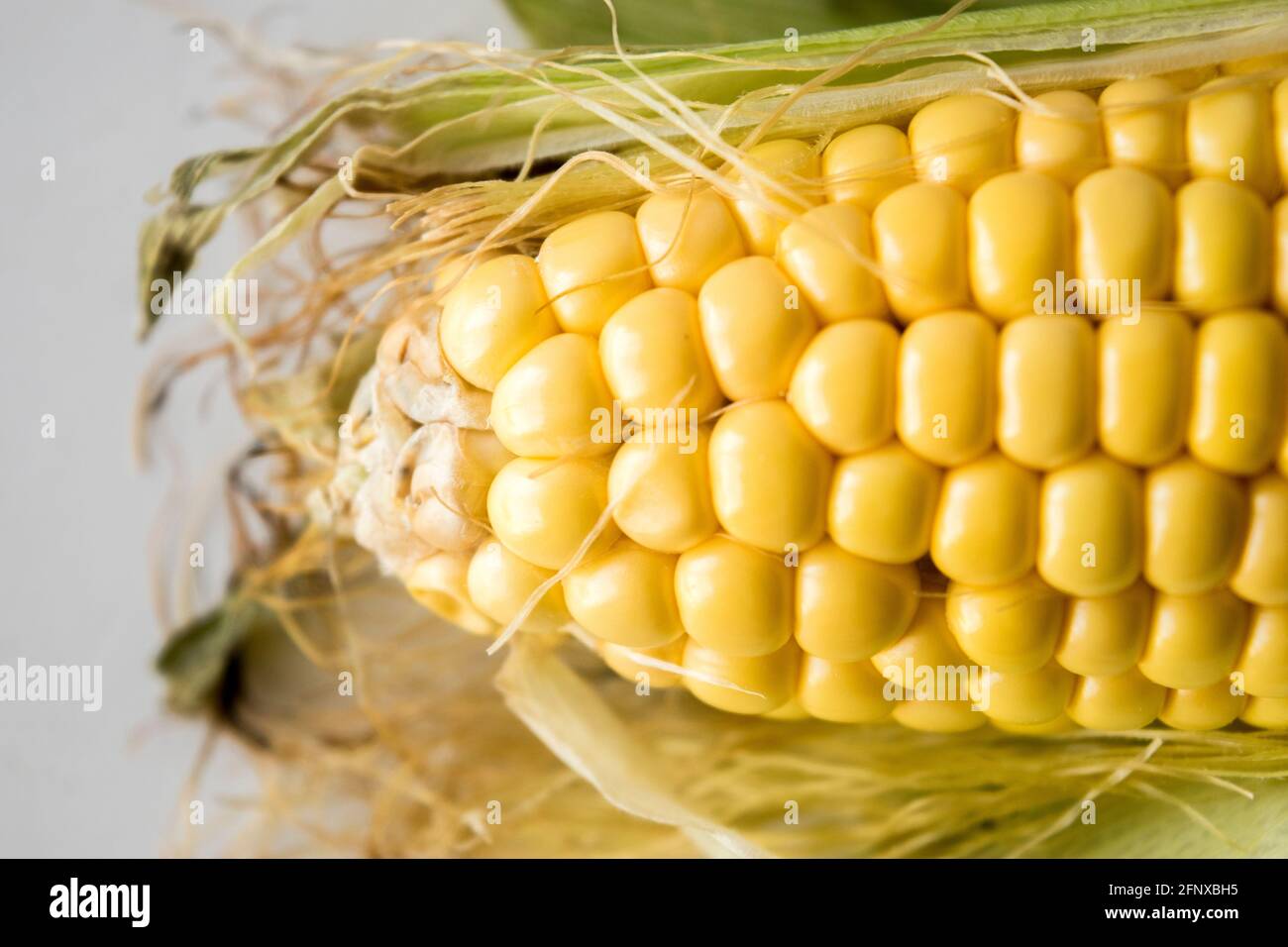 corn Stock Photo