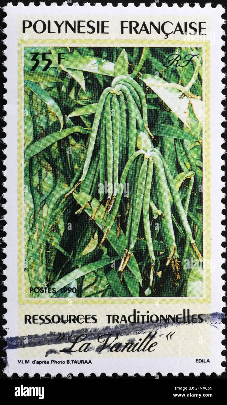 Plants of Vanilla on polynesian postage stamp Stock Photo