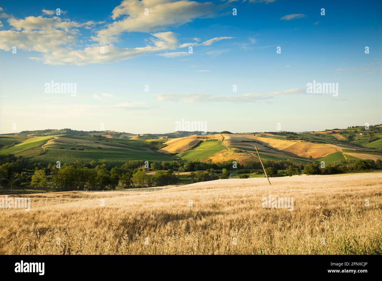 Rural landscape in spring, hills and blue sky with clouds Stock Photo ...