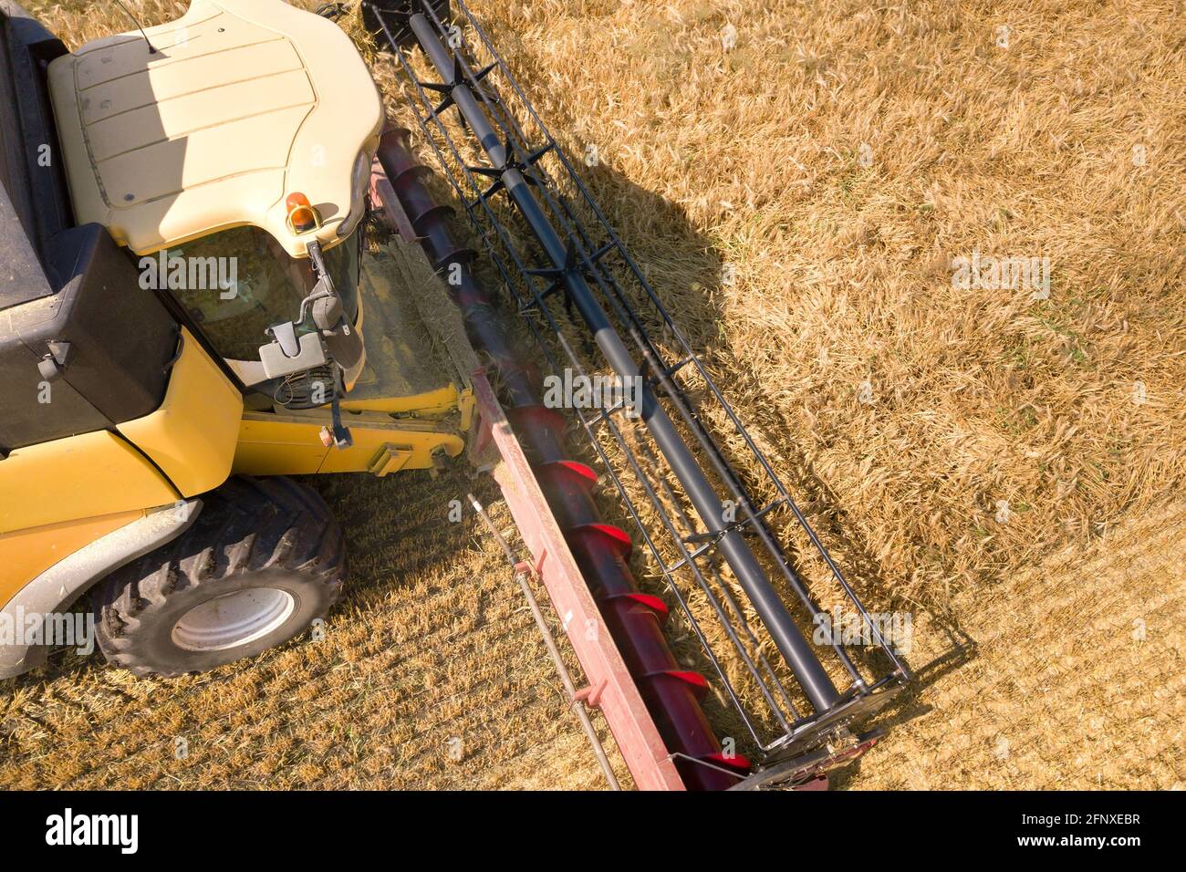 Aerial view of combine harvester harvesting large ripe wheat field ...