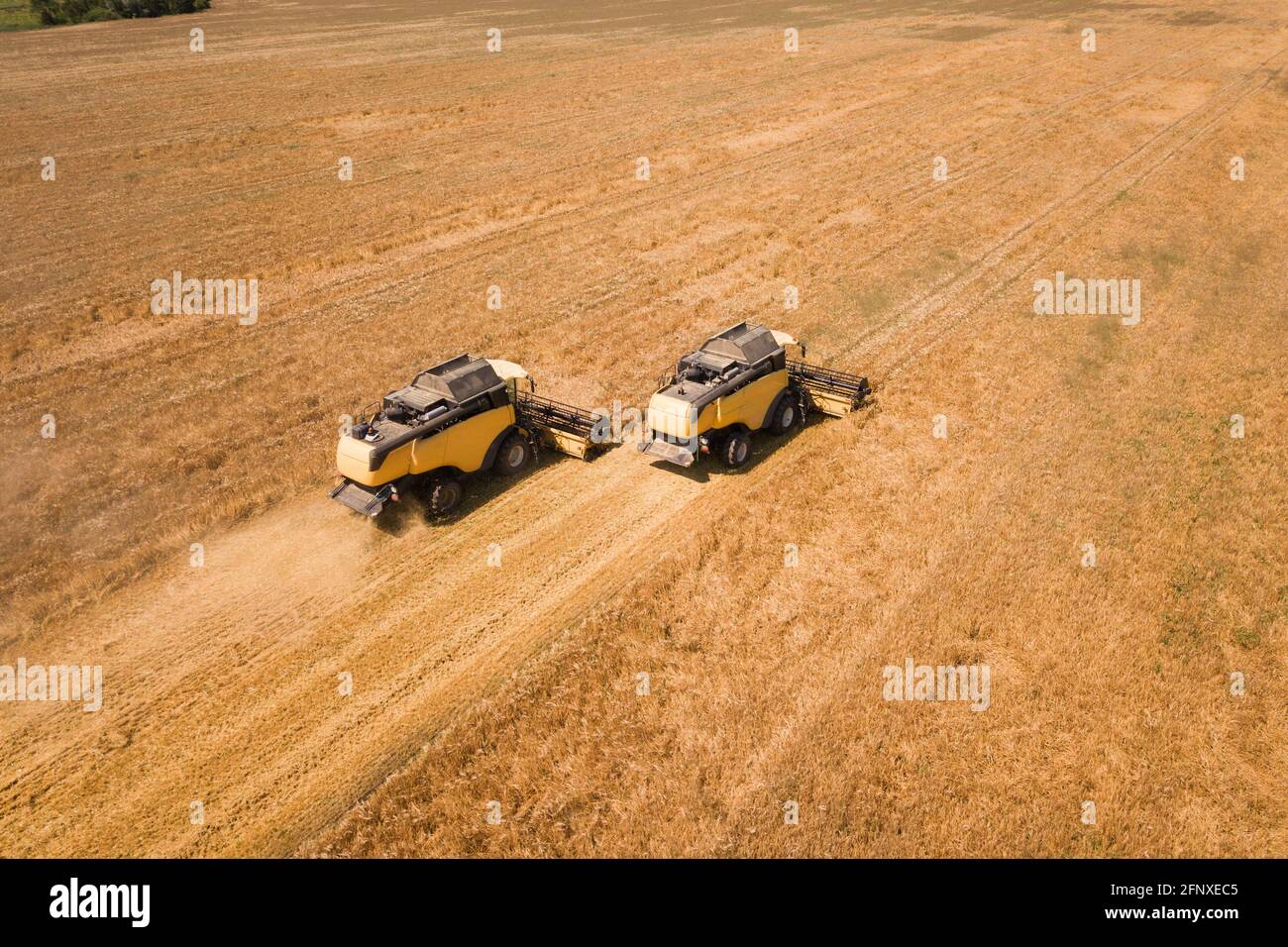 Aerial view of combine harvesters harvesting large yellow ripe wheat ...