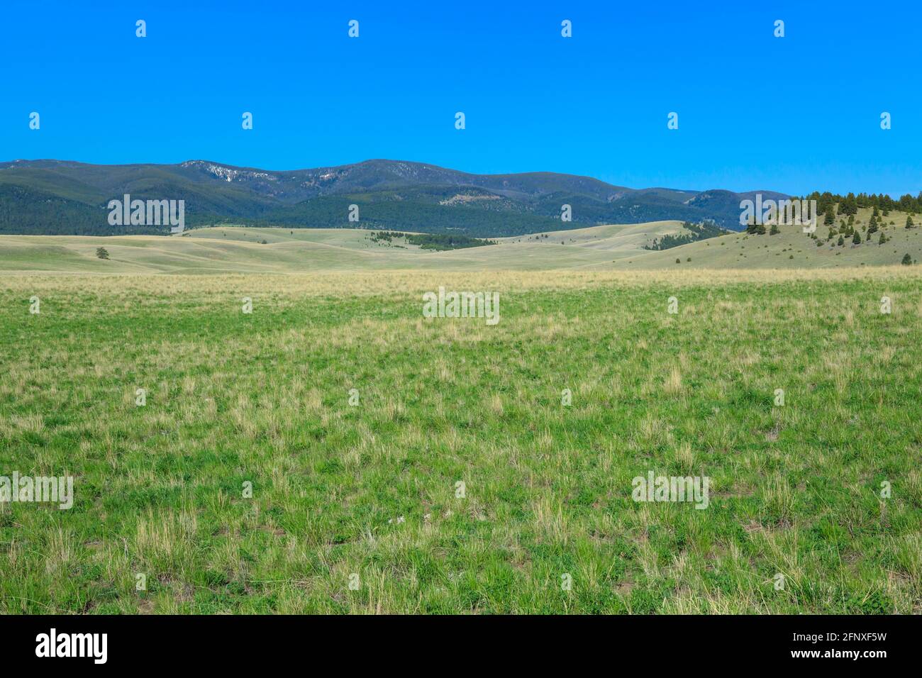 vast rangeland below the john long mountains near hall, montana Stock Photo
