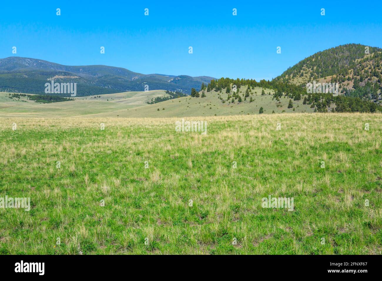 vast rangeland below the john long mountains near hall, montana Stock Photo
