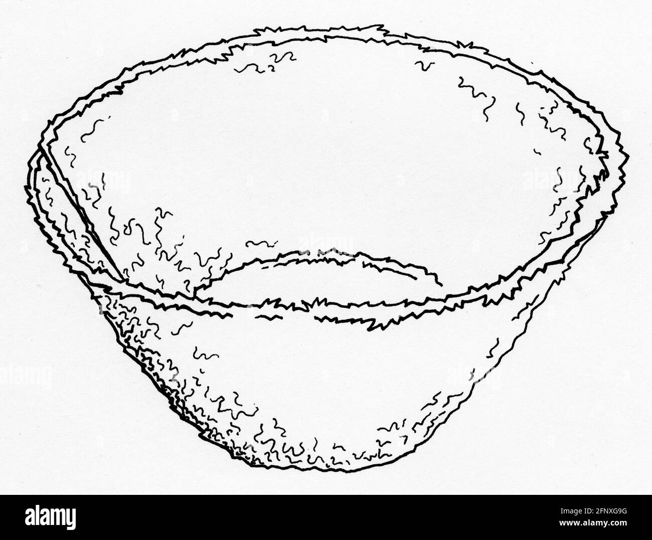 A drawing of a sphagnum moss liner folded for use in a hanging basket