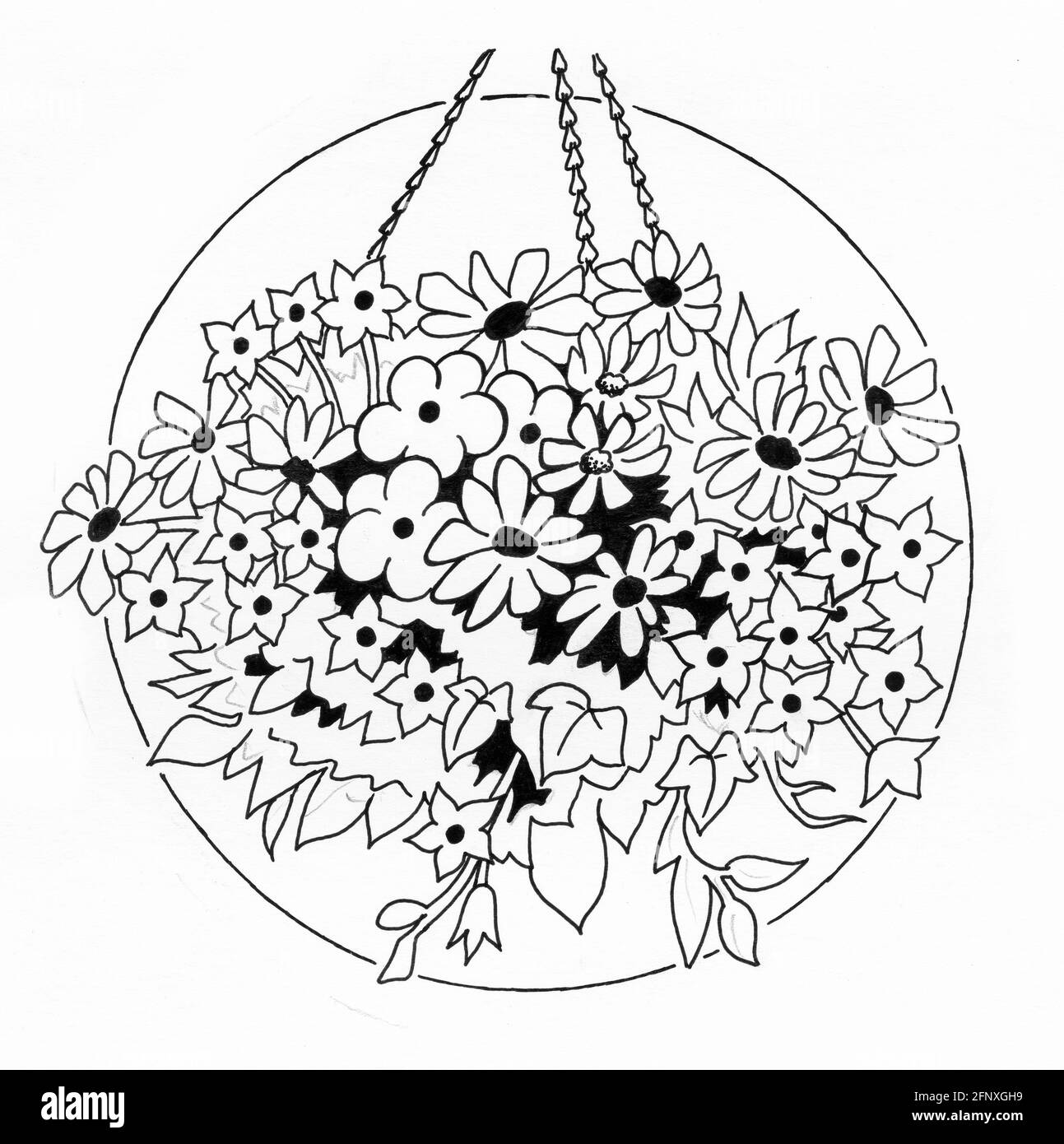 A drawing of a completed hanging basket featuring plants that have been top and side planted Stock Photo