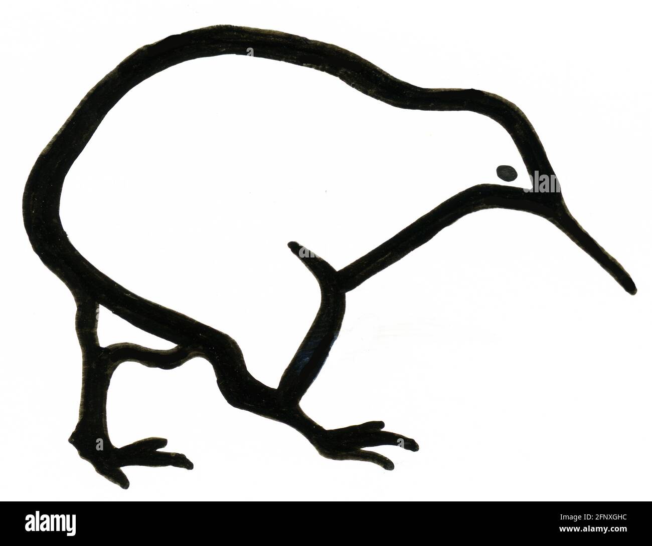 A cartoon style drawing of a New Zealand kiwi suitable as a logo or stylised emblem of New Zealand Stock Photo