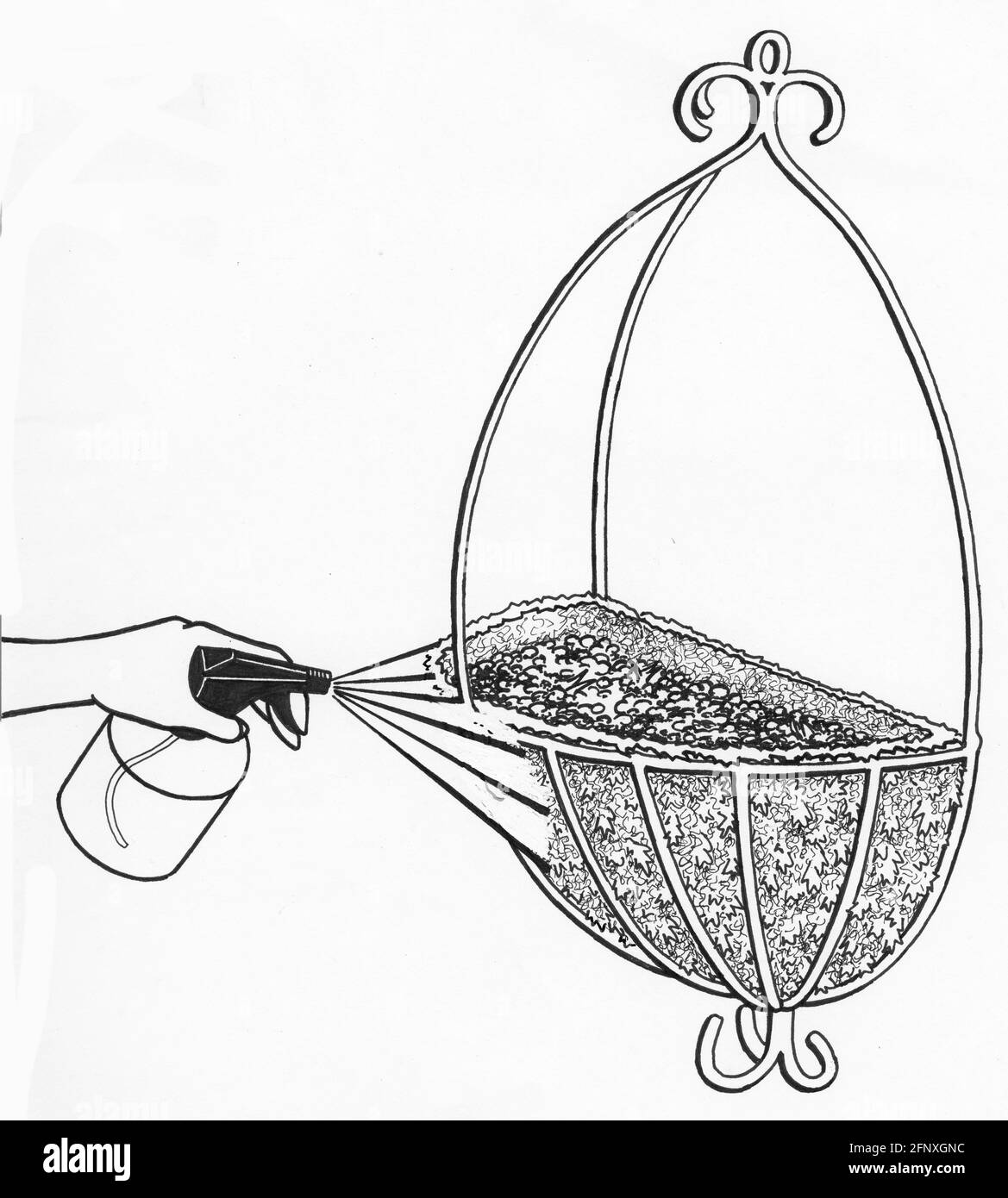 A drawing of a person spraying a wall planter and moss liner with water Stock Photo