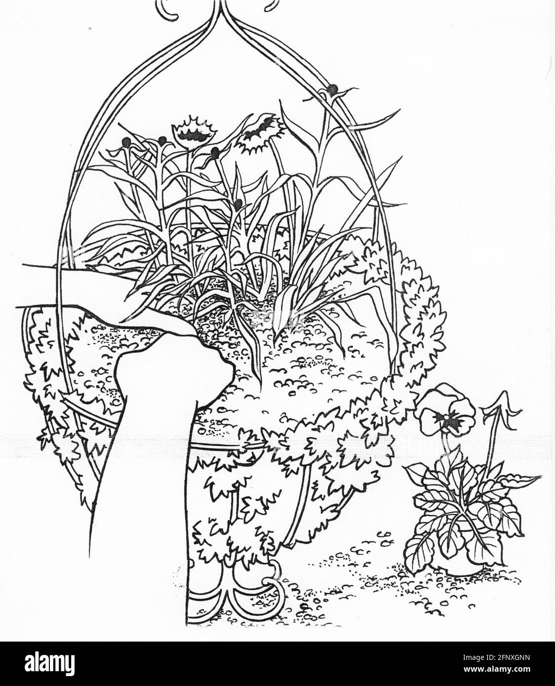 A drawing of a person planting up a hanging basket featuring a sphagnum