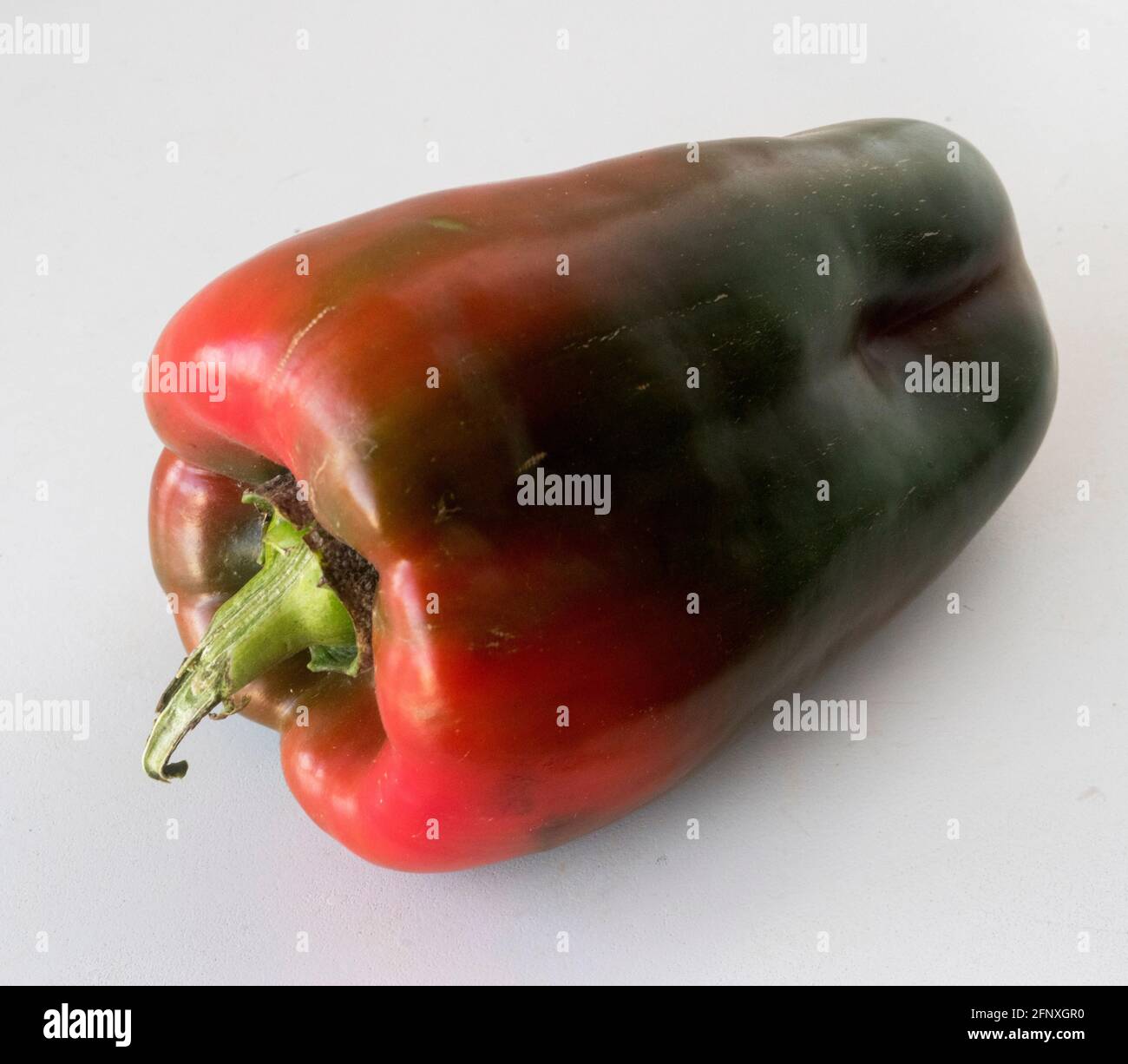 Bell pepper harvesting hi-res stock photography and images - Alamy