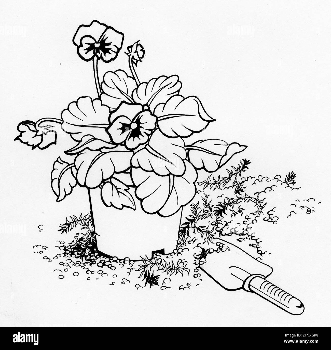 An iconic drawing of a small pansy plant and garden trowel Stock Photo