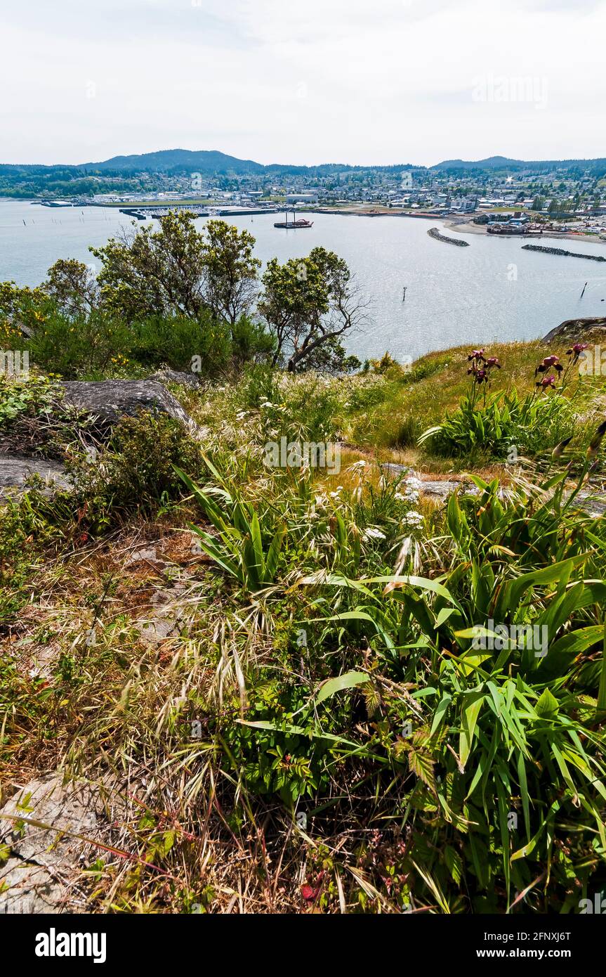 Cap sante marine hi-res stock photography and images - Alamy