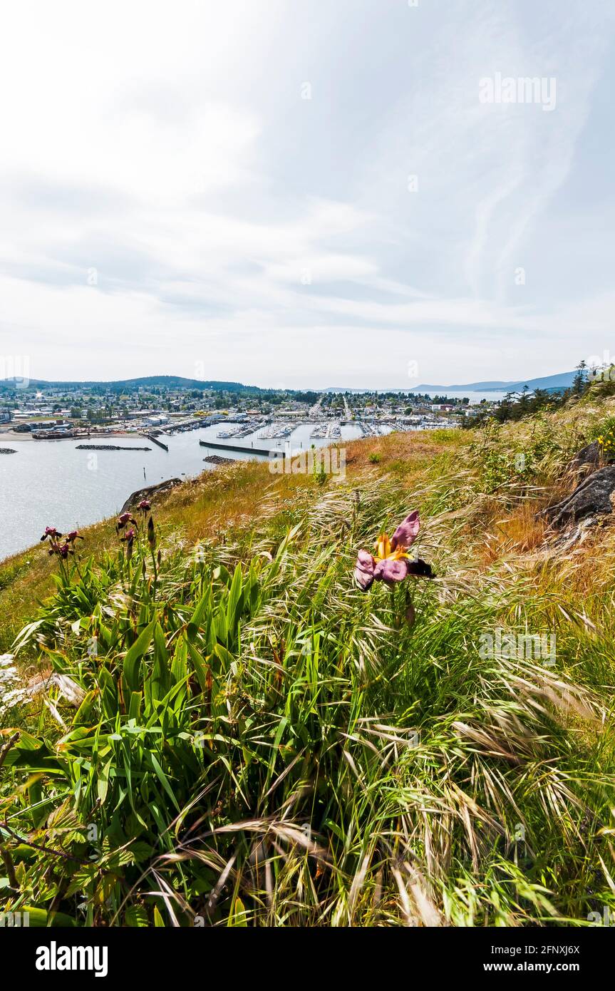 Cap Sante Park High Resolution Stock Photography and Images - Alamy