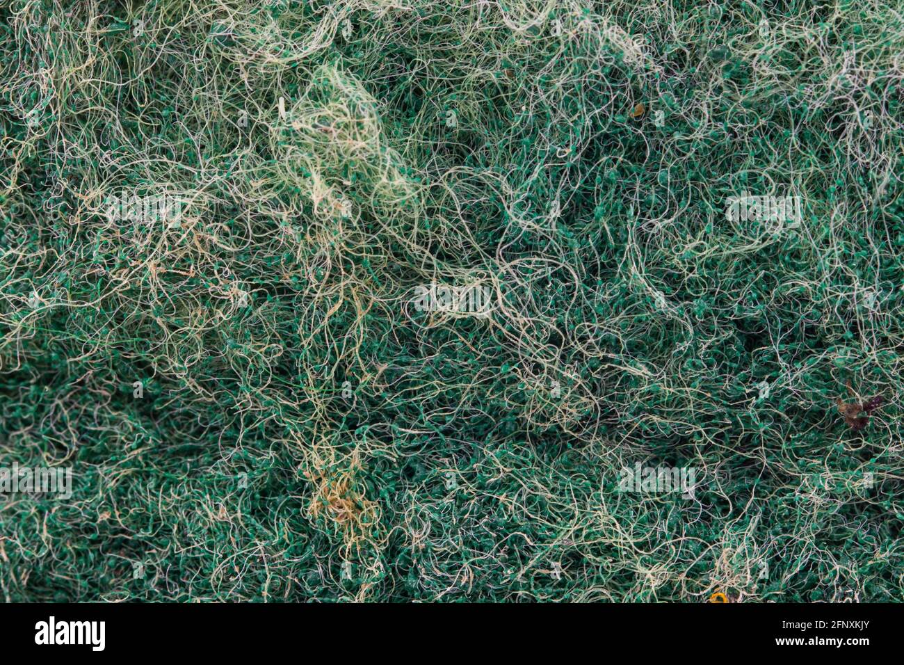 Porous sponge hi-res stock photography and images - Alamy