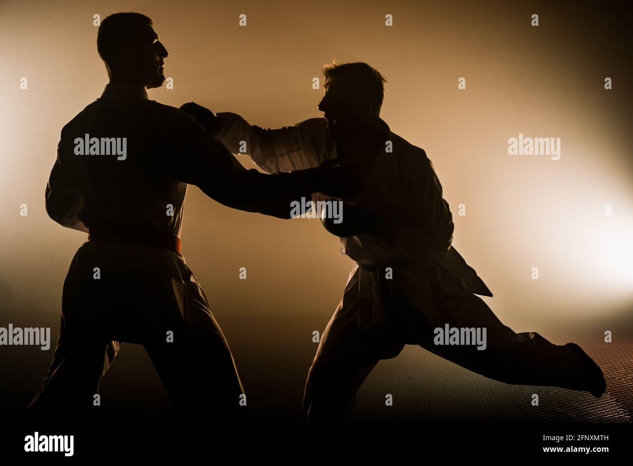 Fighting concept. Fighting man in kimono. Karate men in fighting stance.  Keep fighting Stock Photo - Alamy