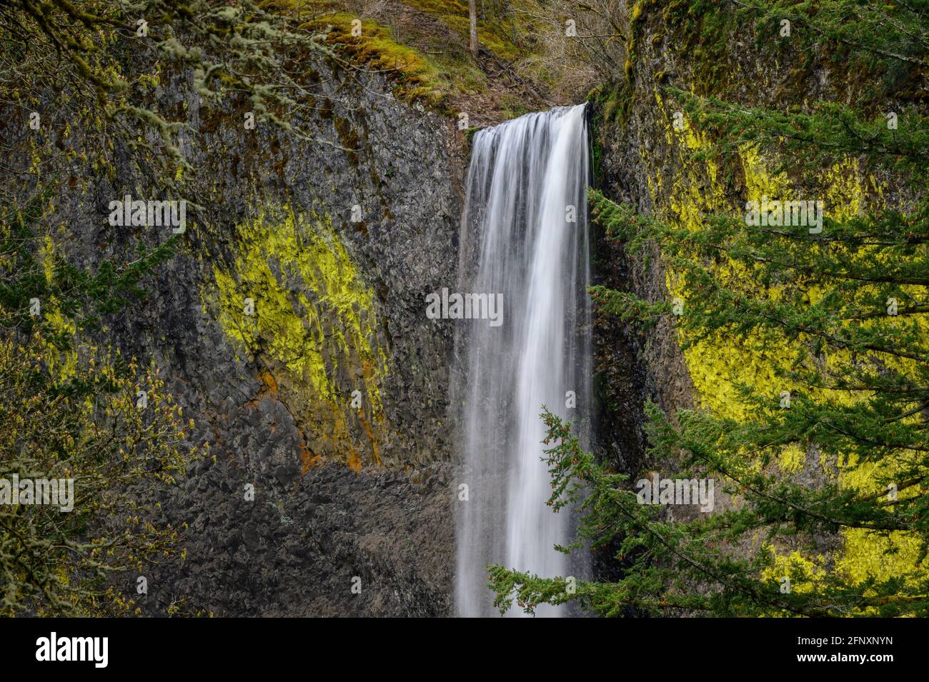 Latourell Falls in Guy Talbot State Park, Columbia River Gorge National Scenic Area, Oregon. Stock Photo