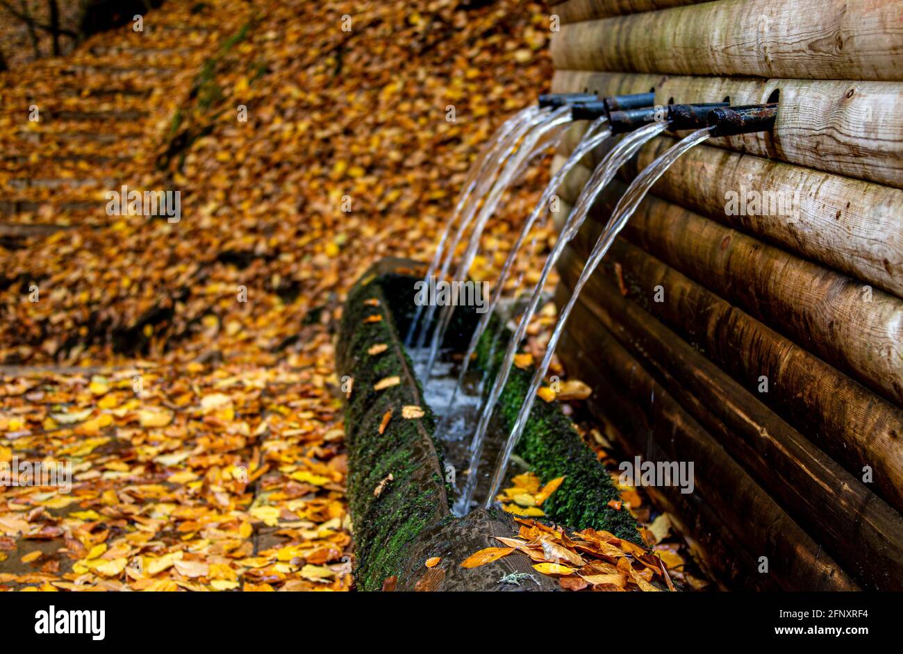 Photo a rustic fountain made of log found in Yedigoller, Bolu. Stock Photo