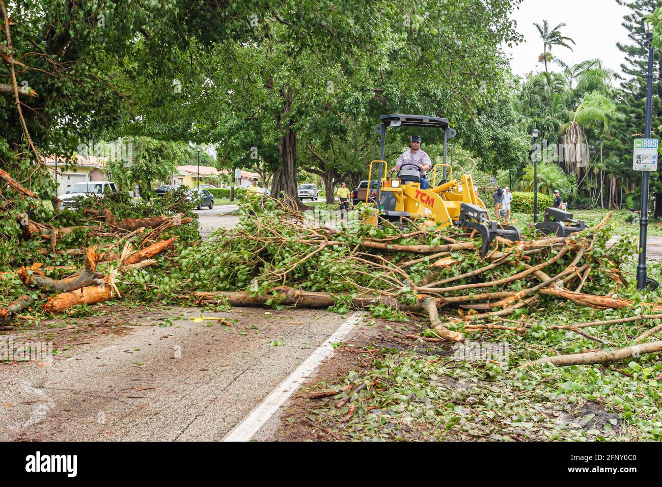 Miami Florida,Coral Gables Hurricane Katrina damage,city worker workers remove romoving fallen trees backhoe operator, Stock Photo