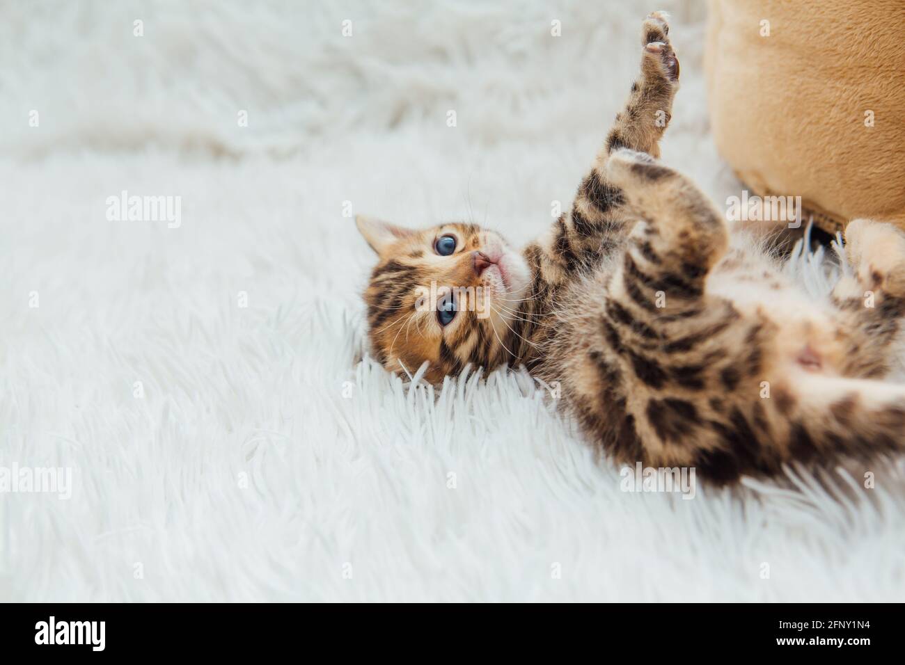 Page 18 Mother And One Month Old Baby High Resolution Stock Photography And Images Alamy Page 18 Mother And One Month Old Baby High Resolution Stock Photography And Images Alamy