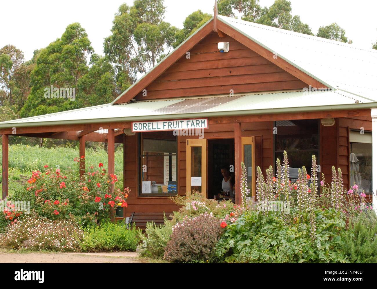 Sorell fruit farm tasmania hires stock photography and images Alamy