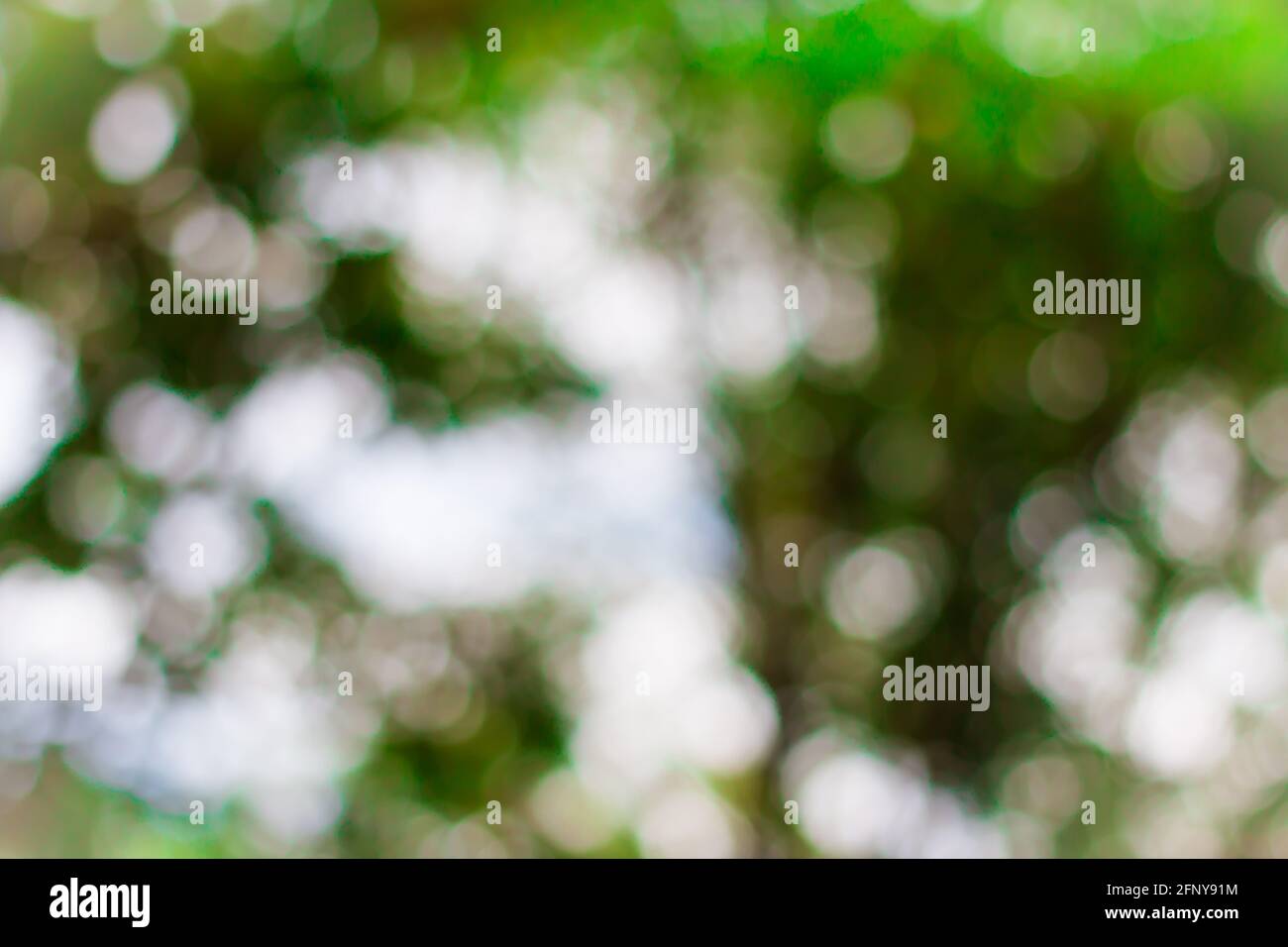 Dark green bokeh background hi-res stock photography and images - Alamy