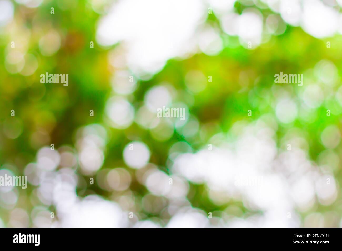 Dark green bokeh background hi-res stock photography and images - Alamy