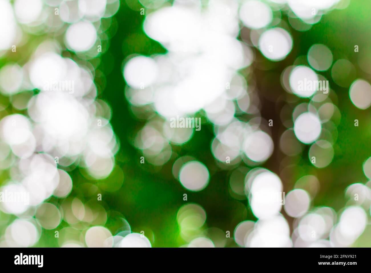 Dark green bokeh background hi-res stock photography and images - Alamy