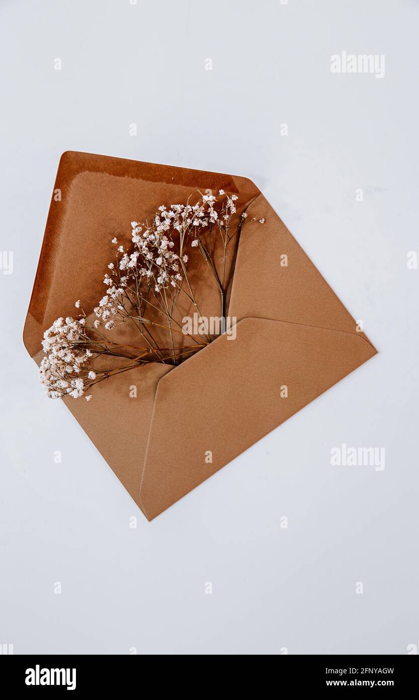 Brown envelop filled with flowers for wedding, birthday, or graduation. Mood and lifestyle pictures for Instagram and Pinterest Stock Photo