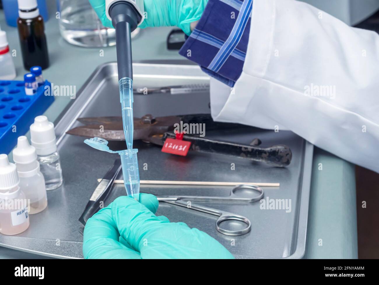 Police scientist holds vial with blood trace on swab to investigate murder in crime lab, conceptual image Stock Photo