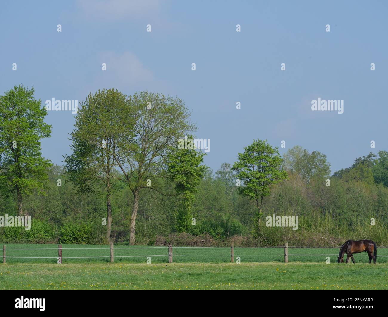 Springtime Westfall spring time in westphalia Stock Photo - Alamy