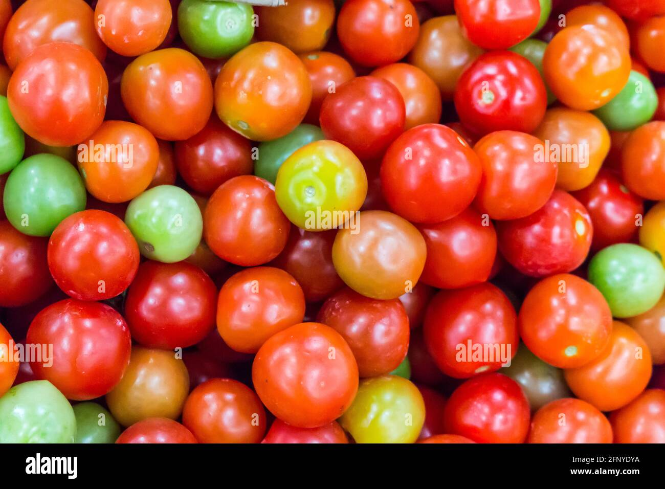 Alot of colorful tomatoes background Stock Photo