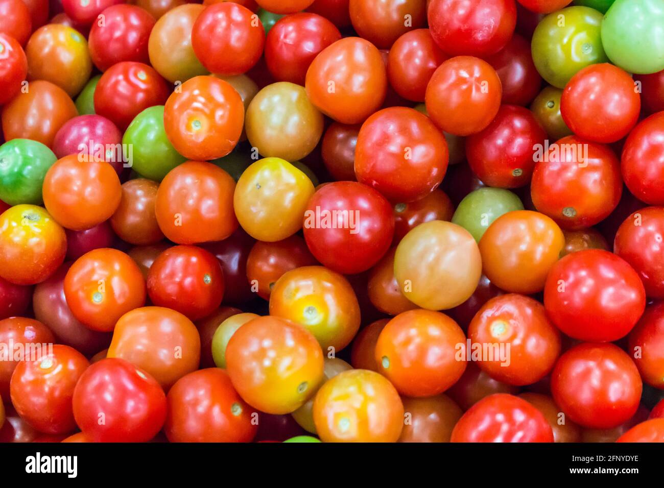 Alot of colorful tomatoes background Stock Photo
