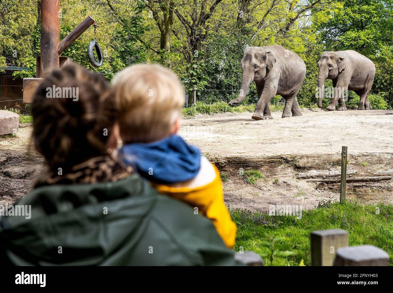 ROTTERDAM - 19-05-2021. Zoo Blijdorp is open to visitors again. Dierentuin  Blijdorp is weer open