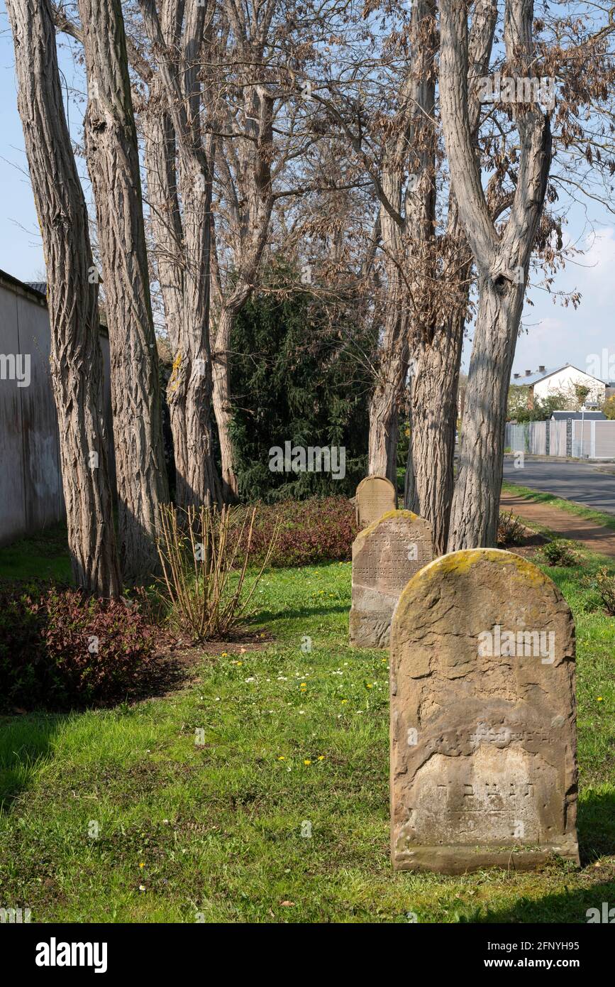 Erftstadt, Ortsteil Lechenich, Alter jüdischer Friedhof mit Grabsteinen Stock Photo
