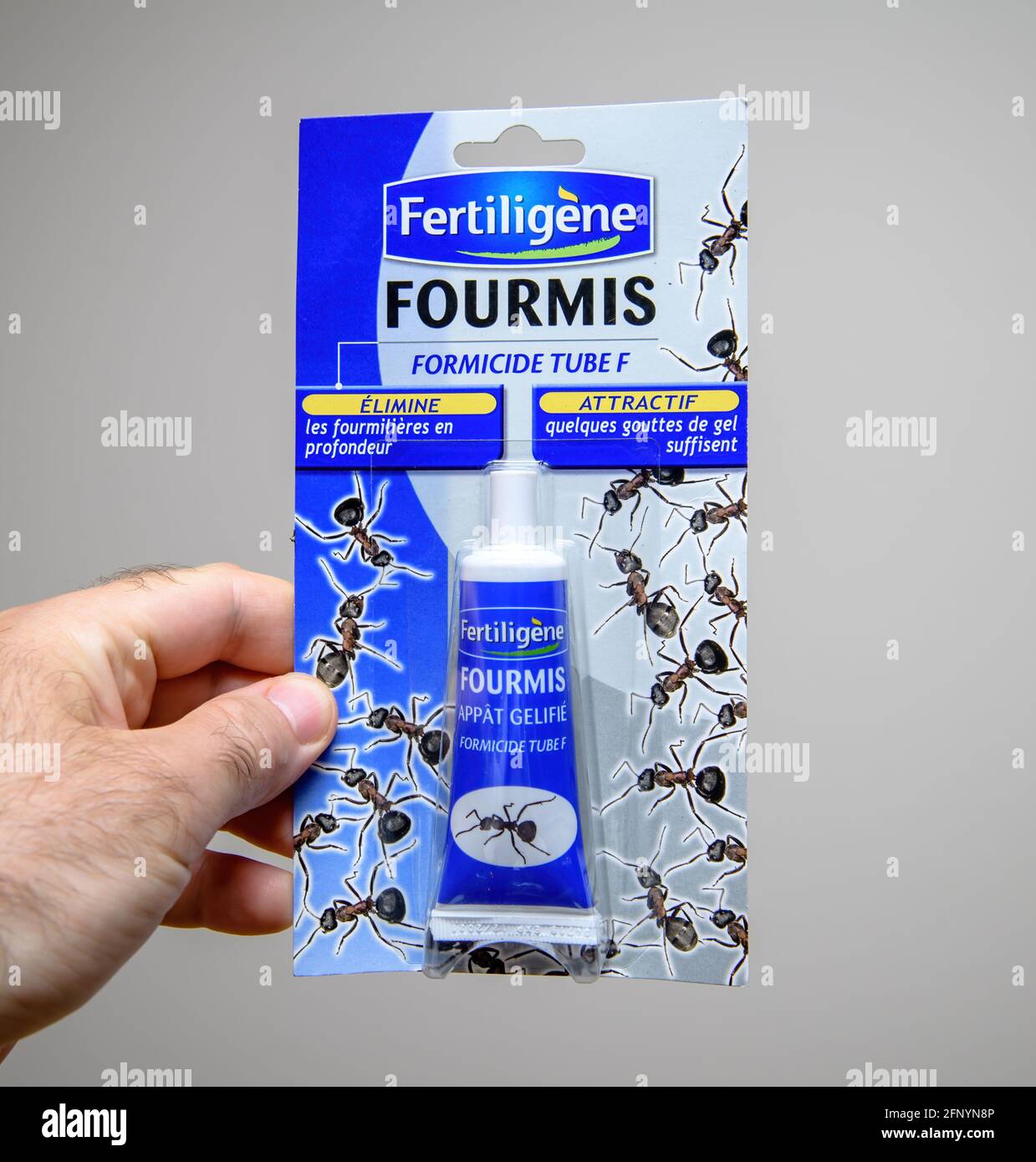 male hand holding Fertiligene Fourmis formicide against ants kill Stock Photo