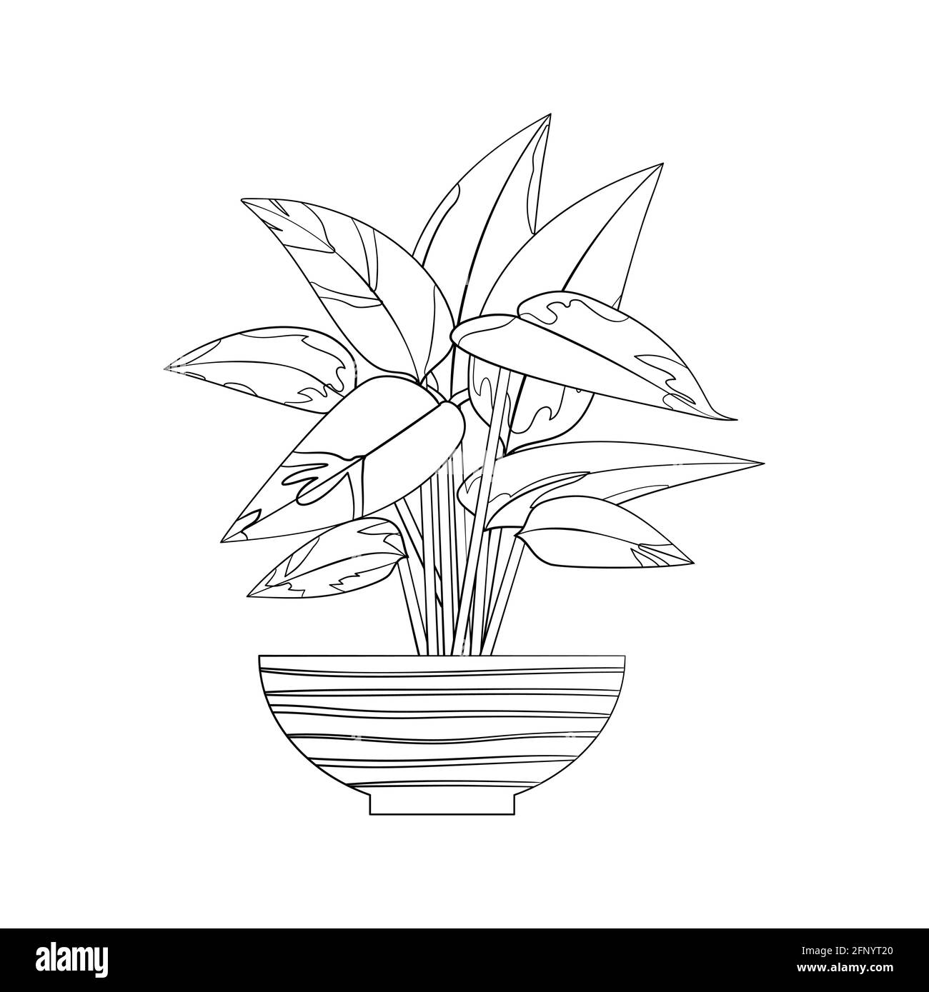 Line art black tropical potted house plant stromanthe isolated on white background. Stock Vector