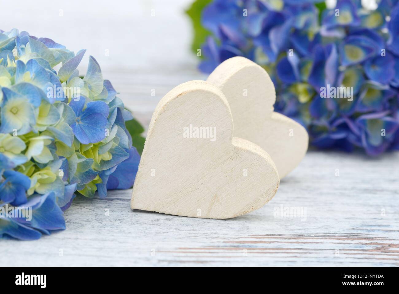 blue flower and wooden heart lying on wood Stock Photo