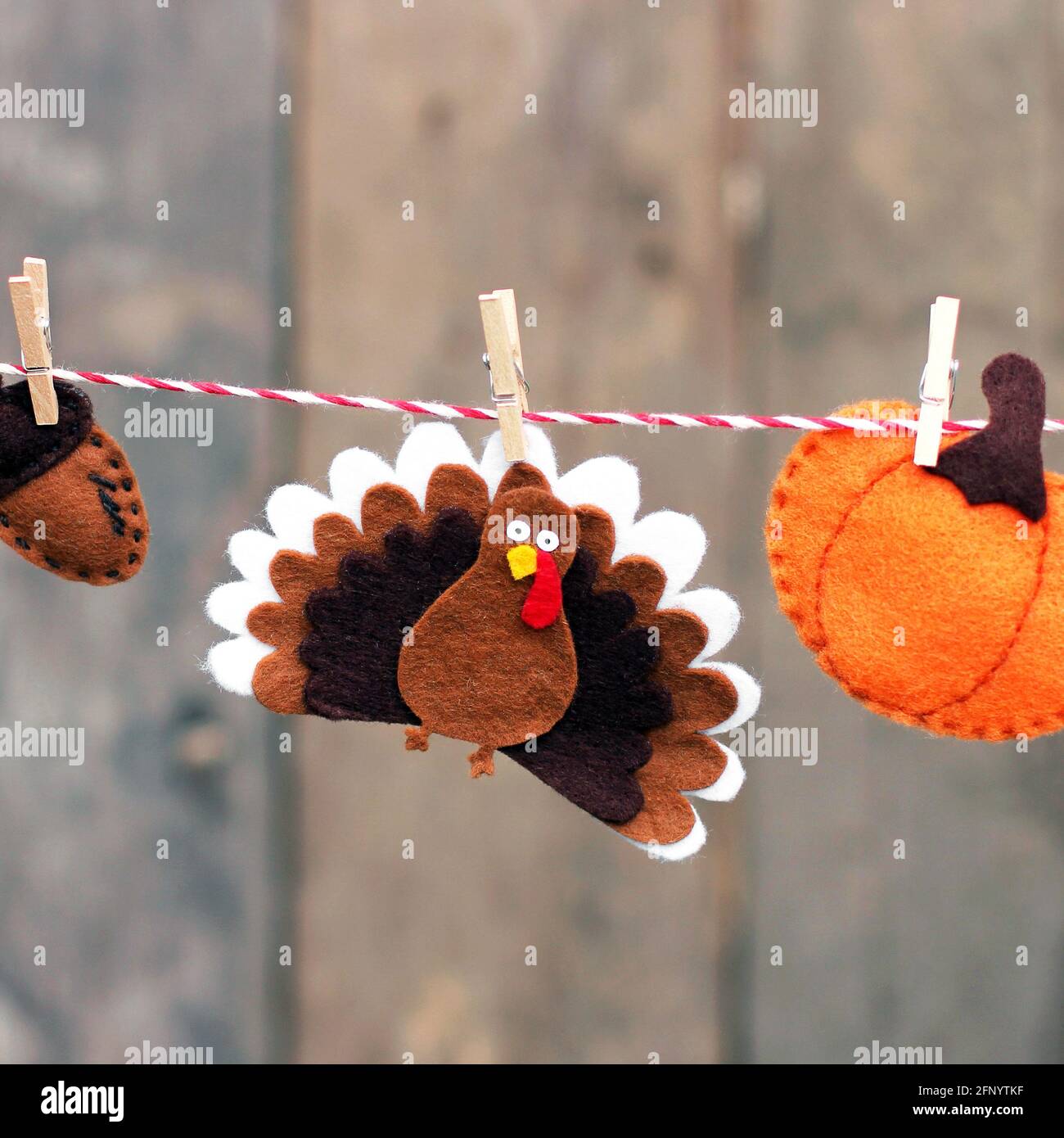 Thanksgiving story fill in the blank