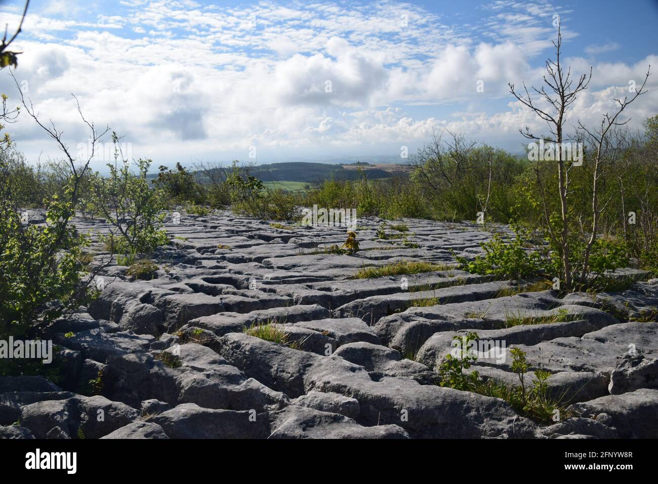 Beautiful British carboniferous limestone pavement landscape set off in lovely spring sunlite. Stock Photo